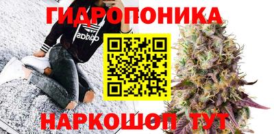 ПСИЛОЦИБИНОВЫЕ ГРИБЫ Гай