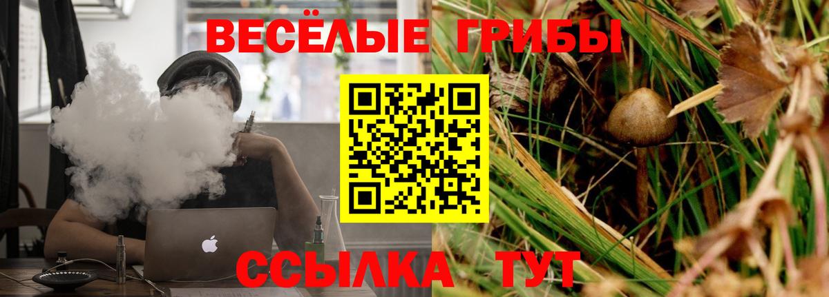 Псилоцибиновые грибы Cubensis Миасс